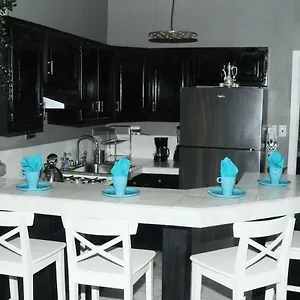  Apartment Plush Spacious 1 Bedroom Apt Williamsburg United States
